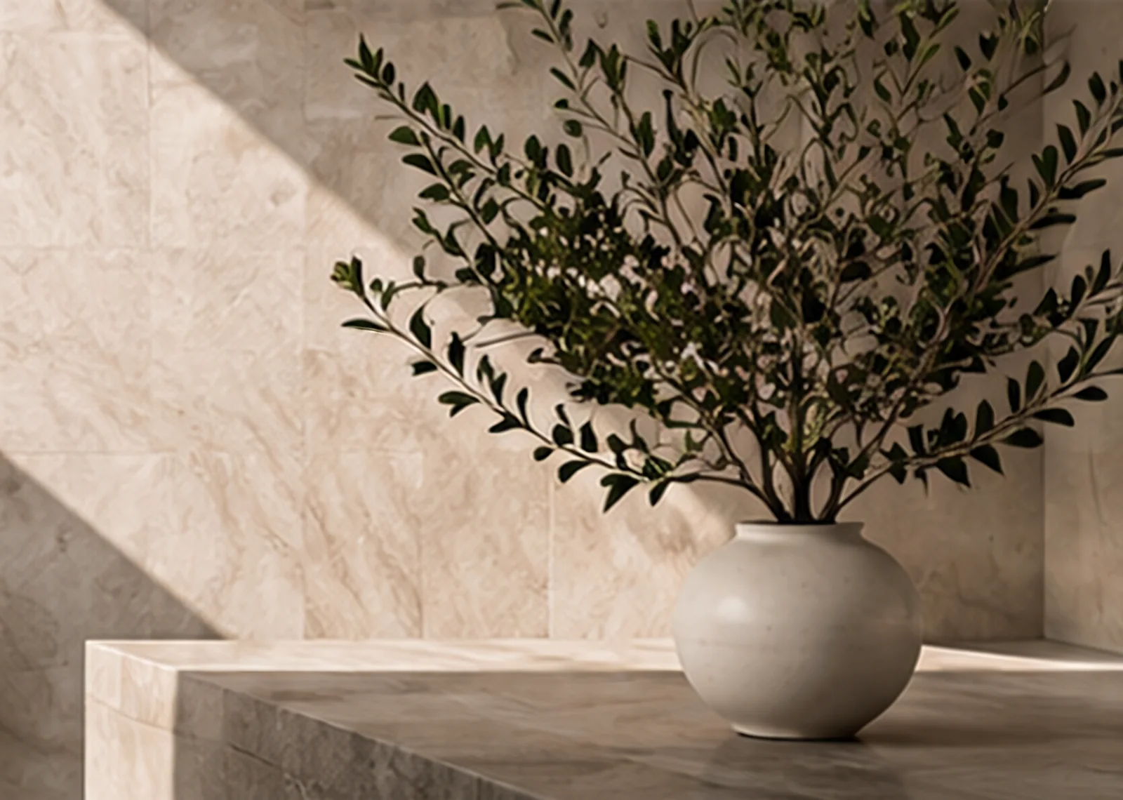 Porcelain wall and bench with an olive tree